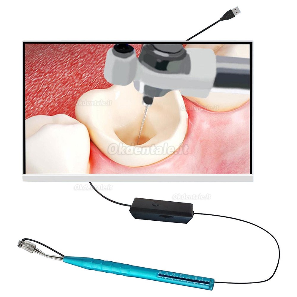 Microcamera intraorale digitale dentale visiva a LED con controllo a pedale